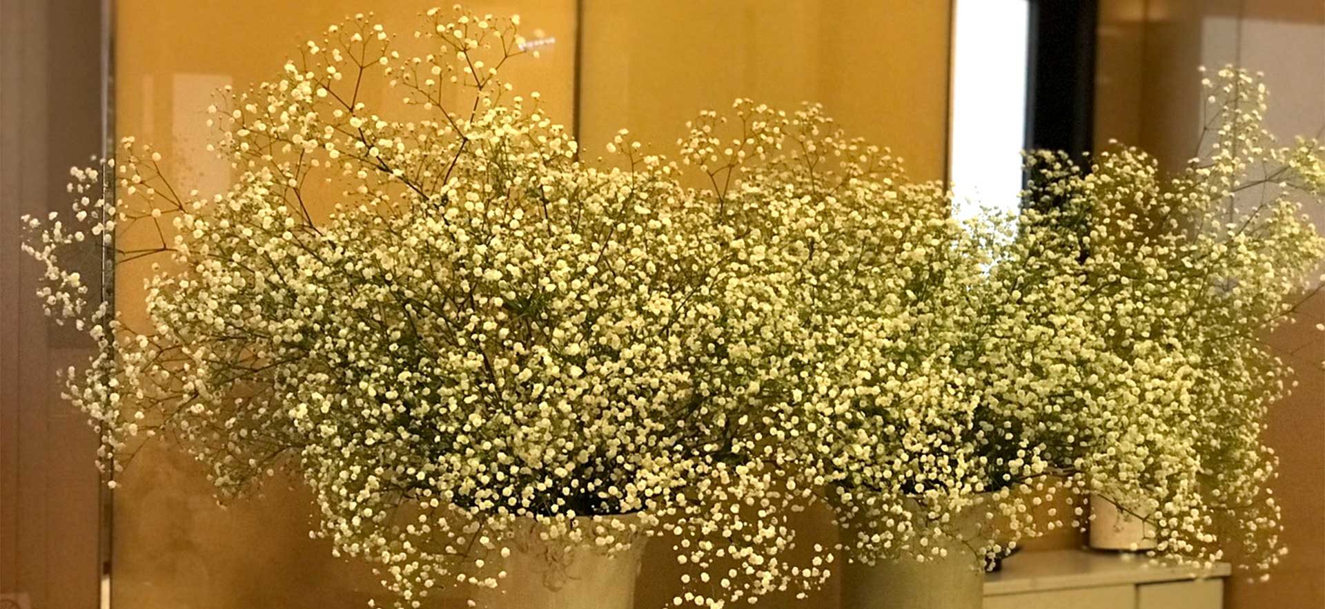 アトリエ1019、お花㉙、トップ画像、かすみ草